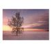 Trademark Fine Art 'Majesty of Nature' Photographic Print on Wrapped Canvas Metal | 22 H x 32 W x 2 D in | Wayfair PSL01134-C2232GG