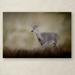 Trademark Fine Art 'Bravery' Graphic Art Print on Wrapped Canvas in White | 30 H x 47 W x 2 D in | Wayfair ALI14713-C3047GG