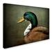 Trademark Fine Art 'Mallard Duck Portrait' Graphic Art Print on Wrapped Canvas Metal | 24 H x 32 W x 2 D in | Wayfair ALI13893-C2432GG