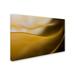 Trademark Fine Art 'Fields Of Gold' Graphic Art on Wrapped Canvas Canvas | 12 H x 19 W x 2 D in | Wayfair 1X01973-C1219GG