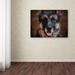 Trademark Fine Art 'German Shepherd Face' Graphic Art Print on Wrapped Canvas Canvas | 18 H x 24 W x 2 D in | Wayfair ALI13835-C1824GG