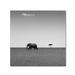 Trademark Fine Art 'Elephant & the Friendly Cloud' Photographic Print on Wrapped Canvas in Black/White | 18 H x 18 W x 2 D in | Wayfair