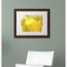 Trademark Fine Art "Yellow Tulip" by Kurt Shaffer Framed Photographic Print Canvas, Wood | 16 H x 20 W x 0.5 D in | Wayfair KS0156-W1620MF