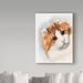 Trademark Fine Art 'American Curl Oil Painting Print on Wrapped Canvas' Graphic Art Print on Wrapped Canvas in White/Black | Wayfair