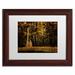 Trademark Fine Art "The Clearing" by Lois Bryan Framed Photographic Print Paper in Green | 11 H x 14 W x 0.5 D in | Wayfair LBR0287-B1114MF