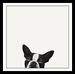 Latitude Run® Dog Head Looking Up Peeking Framed Graphic Art on Canvas Print on Canvas Poster Paper in Black/White | 21 H x 21 W x 1 D in | Wayfair