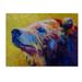 Latitude Run® Pretty Boy Grizz by Marion Rose - Print on Canvas in Blue/Green | 18 H x 24 W x 2 D in | Wayfair LRUN3415 39246759