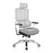 Inbox Zero Geriyah Ergonomic Task Chair Upholstered/Metal in Gray | 47.5 H x 25.25 W x 25.5 D in | Wayfair LTTN1355 43914204