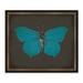 Melissa Van Hise Butterflies on Black III Framed Graphic Art Paper in Blue/Brown | 17.5 H x 20.5 W x 2 D in | Wayfair IP13610