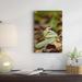 East Urban Home Ecuador Mindo Cloud Forest 'Mountain Sipo Defensive Posture' - Photograph Print on Canvas in White | 36 H x 24 W x 1.5 D in | Wayfair