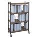 Omnimed Standard 30 Cap Vertical Chart File Cart Metal in Brown/Gray | 55.13 H x 34.5 W x 17 D in | Wayfair 260003-WG