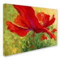 Red Barrel Studio® 'Red Poppy I' Print on Wrapped Canvas in White/Black | 35 H x 47 W x 2 D in | Wayfair RBRS1501 39245769