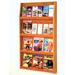 Red Barrel Studio® Caron 12 Magazine/24 Brochure Wall Display Wood in Brown | 49 H x 28.25 W x 4.75 D in | Wayfair RDBT6047 42658691