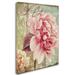 Trademark Fine Art 'Saisons III' by Color Bakery Graphic Art on Wrapped Canvas Metal in Pink | 32 H x 24 W x 2 D in | Wayfair ALI4855-C2432GG