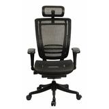 Symple Stuff Ergonomic High Back Mesh Executive Chair w/ Headrest, Seat Slide, Adj Lumbar Support /Upholstered/Mesh in Black | Wayfair