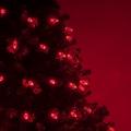 The Holiday Aisle® 70 Light C6 LED Christmas String Lights in Red | 288 W in | Wayfair THLA3484 39883982