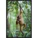 East Urban Home 'Sumatran Orangutan One & a Half Year Old Baby Dangling from Tree Branch' Framed Photographic Print on Canvas in Green | Wayfair