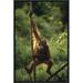 East Urban Home 'Orangutan Juvenile Hanging on Liana' Framed Photographic Print on Canvas in Green | 18 H x 12 W x 1.5 D in | Wayfair