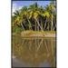 East Urban Home 'Coconut Palm Trees Line Black Sand Beach' Framed Photographic Print on Canvas in White | 36 H x 24 W x 1.5 D in | Wayfair