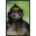 East Urban Home 'White-Bellied Spider Monkey Portrait' Framed Photographic Print on Canvas in Black/Green | 18 H x 12 W x 1.5 D in | Wayfair