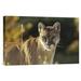 East Urban Home 'Mountain Lion or Cougar Adult Portrait' Photographic Print on Canvas in Brown | 12 H x 18 W x 1.5 D in | Wayfair URBH7656 38404149