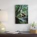 East Urban Home 'Bromeliads Growing In Trees Along Stream' Photographic Print on Canvas in Green | 18 H x 12 W x 1.5 D in | Wayfair