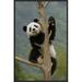 East Urban Home 'Giant Panda Cub Climbing Tree' Framed Photographic Print on Canvas in Brown/Green | 24 H x 16 W x 1.5 D in | Wayfair