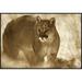 East Urban Home 'Mountain Lion Portrait' Framed Photographic Print on Canvas in White | 24 H x 36 W x 1.5 D in | Wayfair URBH4493 38222377