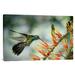 East Urban Home ' Violet-Ear Hummingbird Feeding' Photographic Print on Canvas in Green | 20 H x 30 W x 1.5 D in | Wayfair URBH8306 38406567