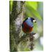 East Urban Home 'Toucan Barbet' Photographic Print on Canvas in Gray/Green | 30 H x 1.5 D in | Wayfair URBH8801 38408428