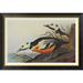 Global Gallery Western Duck by John James Audubon - Picture Frame Print on Canvas Canvas, Cotton in White | 24.9 H x 36 W x 1.5 D in | Wayfair