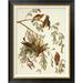 Global Gallery American Crossbill by John James Audubon - Picture Frame Graphic Art Print on Canvas Canvas, in Black | Wayfair GCF-198062-1824-190