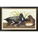 Global Gallery Scaup Duck by John James Audubon - Picture Frame Graphic Art Print on Canvas Canvas, in Black | 26.88 H x 42 W x 1.5 D in | Wayfair