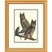 Global Gallery Great Horned Owl by John James Audubon Framed Painting Print Paper in Green | 26 H x 21.36 W x 1.5 D in | Wayfair DPF-197845-16-102