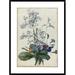Global Gallery A Bouquet of Flowers w/ Insects by Pierre Joseph Redoute Framed Painting Print Paper | 37.5 H x 27.5 W x 1.5 D in | Wayfair
