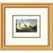 Global Gallery Trumpeter Swan by John James Audubon Framed Painting Print Paper | 18 H x 20 W x 1.5 D in | Wayfair DPF-132749-0810-102