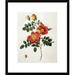 Global Gallery Rosa Eglanteria (Punicea) by Pierre Joseph Redoute Framed Painting Print Paper | 23.5 H x 20.02 W x 1.5 D in | Wayfair