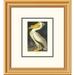 Global Gallery American White Pelican by John James Audubon Framed Painting Print Paper | 20 H x 18 W x 1.5 D in | Wayfair DPF-132759-0810-102