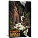 Global Gallery 'Gorges de la Diosaz' by Roger Broders Vintage Advertisement on Wrapped Canvas in White | 36 H x 22 W x 1.5 D in | Wayfair