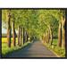 Global Gallery 'Lime Tree Alley, Mecklenburg Lake District, Germany' by Frank Krahmer Framed Photographic Print on Canvas | Wayfair