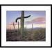 Global Gallery Saguaro Cactus Field w/ Sierrita Mountains in the Background, Saguaro National Park | 24 H x 1.5 D in | Wayfair DPF-397122-1824-266