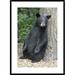 Global Gallery Bear Cub Leaning Against Tree, Orr, Minnesota by Matthias Breiter - Picture Frame Photograph Print on in White | Wayfair