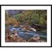 Global Gallery Virgin River Flowing through Canyon in Autumn, Zion National Park | 30 H x 1.5 D in | Wayfair DPF-396823-2432-266