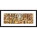 Global Gallery 'Nel bosco assolato' by Lucas Framed Photographic Print Paper in Brown/Green | 20 H x 44 W x 1.5 D in | Wayfair DPF-456345-1236-257