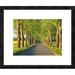 Global Gallery 'Lime tree alley, Mecklenburg Lake District, Germany' by Frank Krahmer Framed Graphic Art Paper in Green | Wayfair