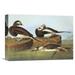 Global Gallery 'Long Tailed Duck' by John James Audubon Painting Print on Wrapped Canvas Canvas | 21.3 H x 30 W x 1.5 D in | Wayfair