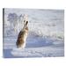 Global Gallery 'White-Tailed Jackrabbit' by Shlomo Waldmann Photographic Print on Wrapped Canvas in Indigo/White | 22 H x 28 W x 1.5 D in | Wayfair