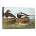 Global Gallery 'Long Tailed Duck' by John James Audubon Painting Print on Wrapped Canvas in White | 25.56 H x 36 W x 1.5 D in | Wayfair