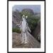 Global Gallery 'Ring-Tailed Lemur Male Walking Upright on Rocks' Framed Photographic Print Paper in Gray | 42 H x 30 W x 1.5 D in | Wayfair