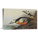 Global Gallery 'Western Duck' by John James Audubon Painting Print on Wrapped Canvas Canvas | 18.9 H x 30 W x 1.5 D in | Wayfair GCS-382086-30-142